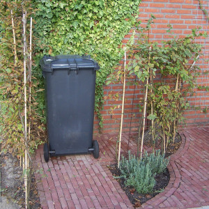 Familie van Dijk